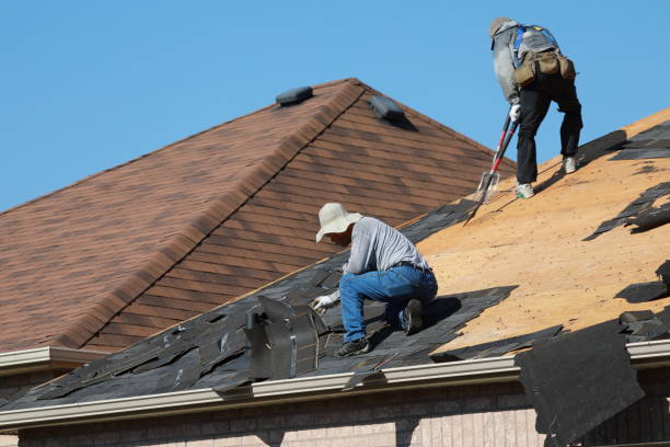 Best Roof Moss and Algae Removal  in Duquesne, MO