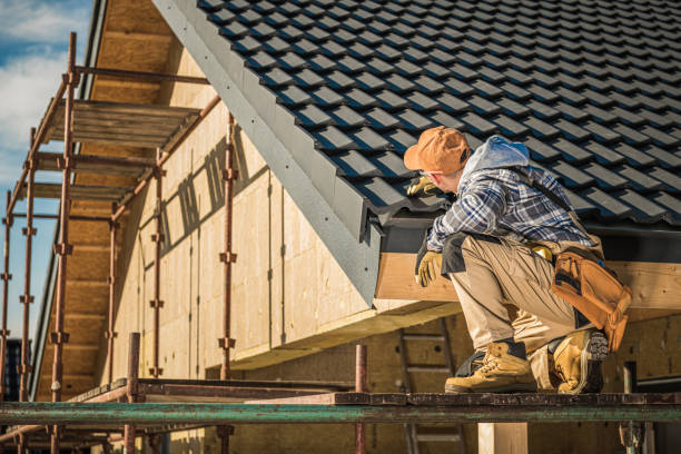 Best Roof Coating and Sealing  in Duquesne, MO