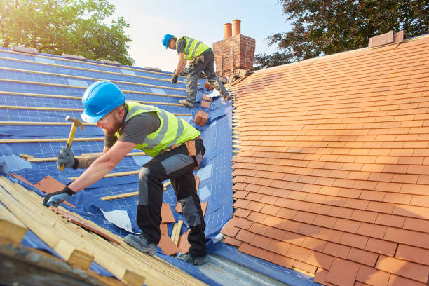 Best Metal Roofing Installation  in Duquesne, MO
